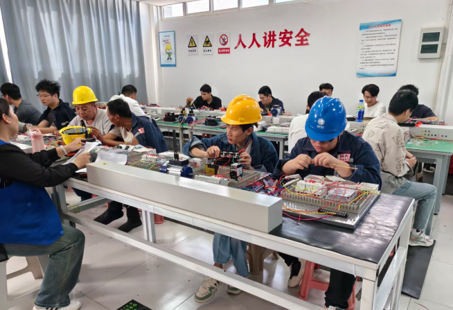 2025年 電工證報考官網(wǎng)入口