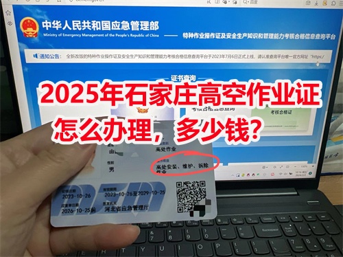 登高證查詢（報名）官網入口